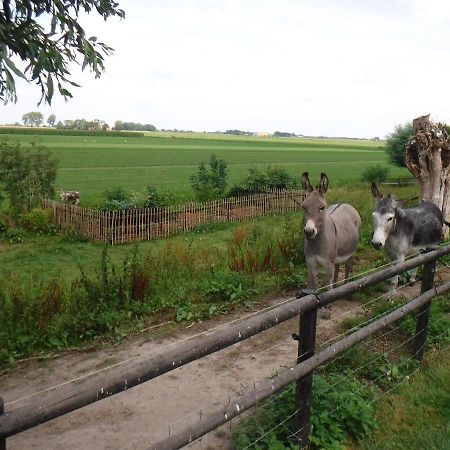 Benb Erf 9 Bed & Breakfast Kampen Bagian luar foto