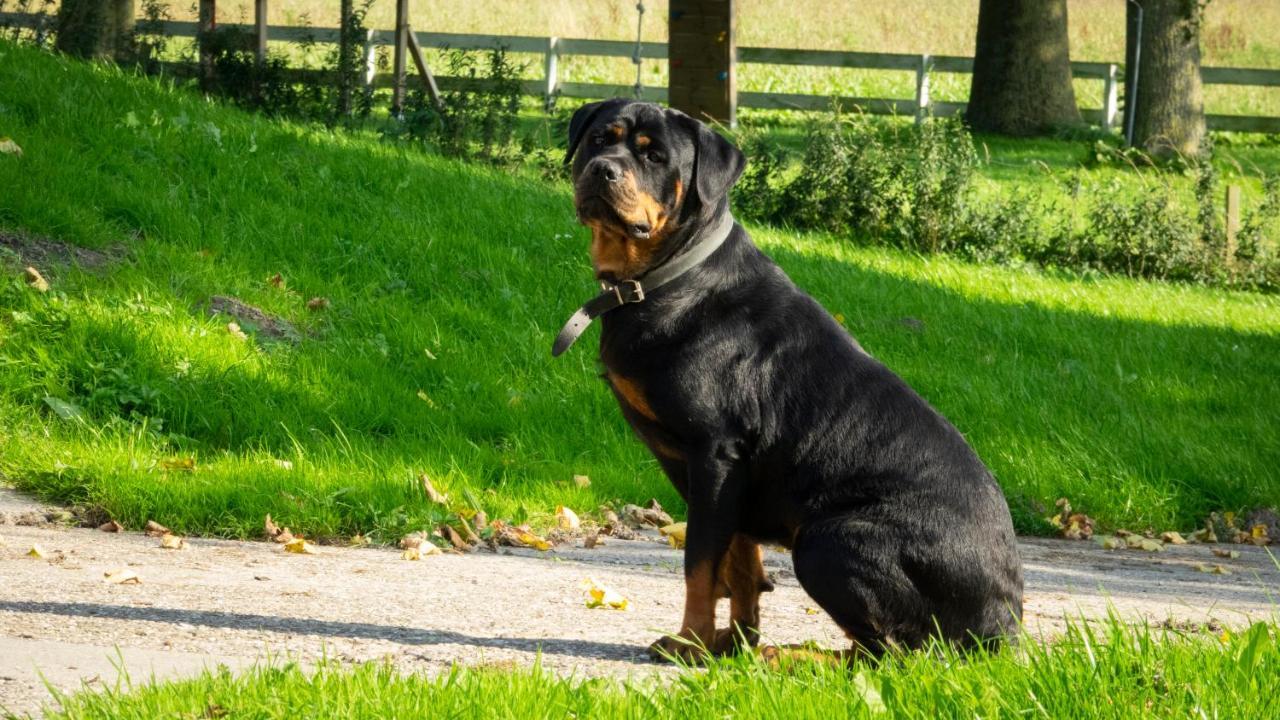Benb Erf 9 Bed & Breakfast Kampen Bagian luar foto